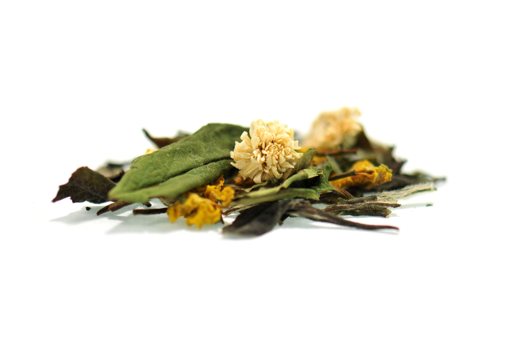 Spirulina Spirulina